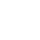 expert